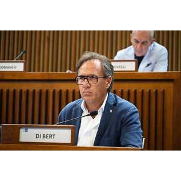 Mauro Di Bert, capogruppo di Fp - Mauro Di Bert, capogruppo di Fp