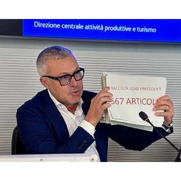 Una fase dell'incontro a Udine per la presentazione del Testo unico per commercio e turismo - Una fase dell'incontro a Udine per la presentazione del Testo unico per commercio e turismo