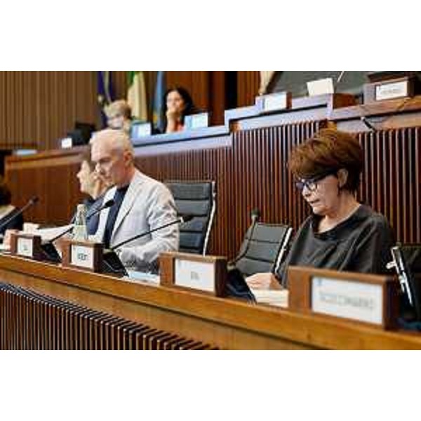 Roberto Novelli (FI) e l'assessore regionale Alessia Rosolen - Roberto Novelli (FI) e l'assessore regionale Alessia Rosolen