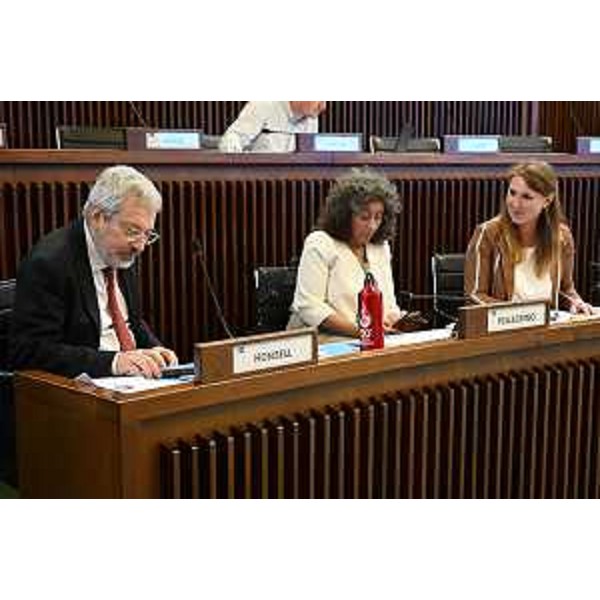 Furio Honsell (Open), Serena Pellegrino (Avs) e Rosaria Capozzi (M5S) - Furio Honsell (Open), Serena Pellegrino (Avs) e Rosaria Capozzi (M5S)