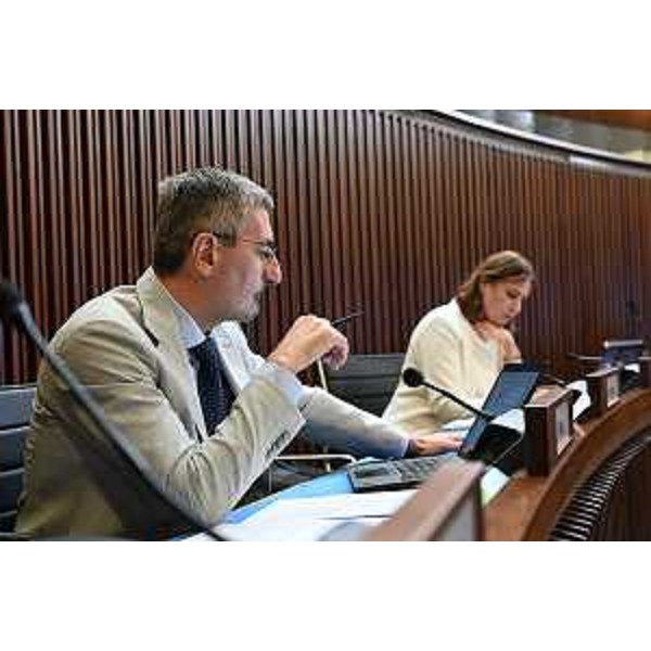 Andrea Carli e Manuela Celotti (Pd) - Andrea Carli e Manuela Celotti (Pd)