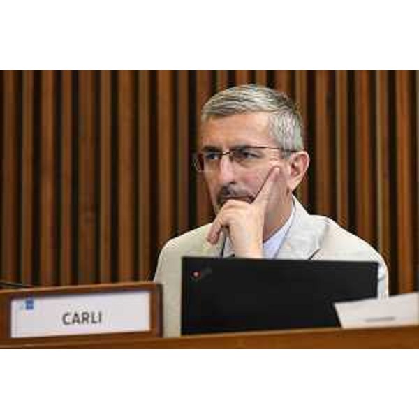 Andrea Carli (Pd) - Andrea Carli (Pd)