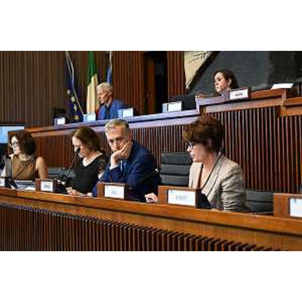 L'assessore regionale al Lavoro, Alessia Rosolen, illustra le poste di bilancio alla II Commissione presieduta da Stefano Balloch (FdI) - L'assessore regionale al Lavoro, Alessia Rosolen, illustra le poste di bilancio alla II Commissione presieduta da Stefano Balloch (FdI)