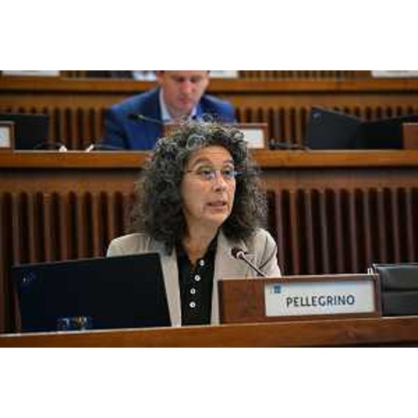 Serena Pellegrino (Avs) - Serena Pellegrino (Avs)