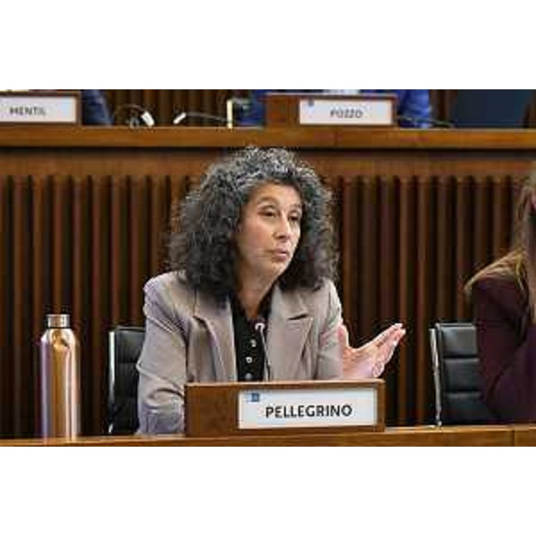 Serena Pellegrino (Avs) - Serena Pellegrino (Avs)