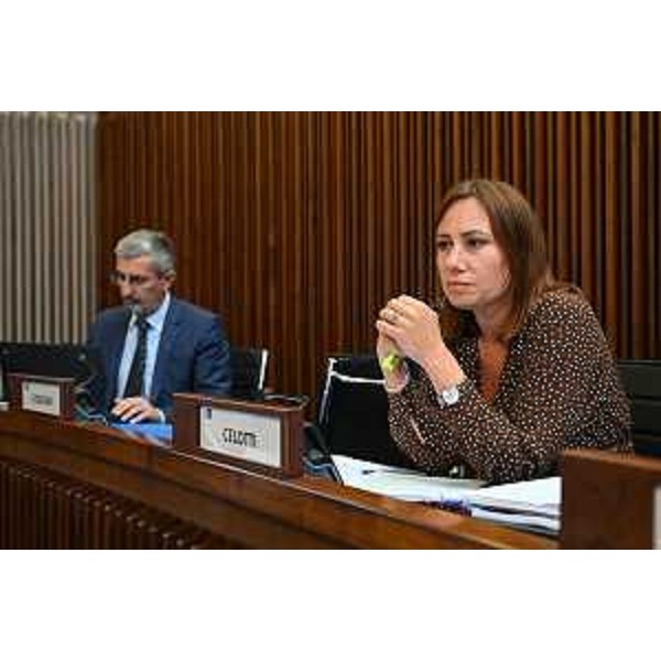 Manuela Celotti e Andrea Carli (Pd) - Manuela Celotti e Andrea Carli (Pd)