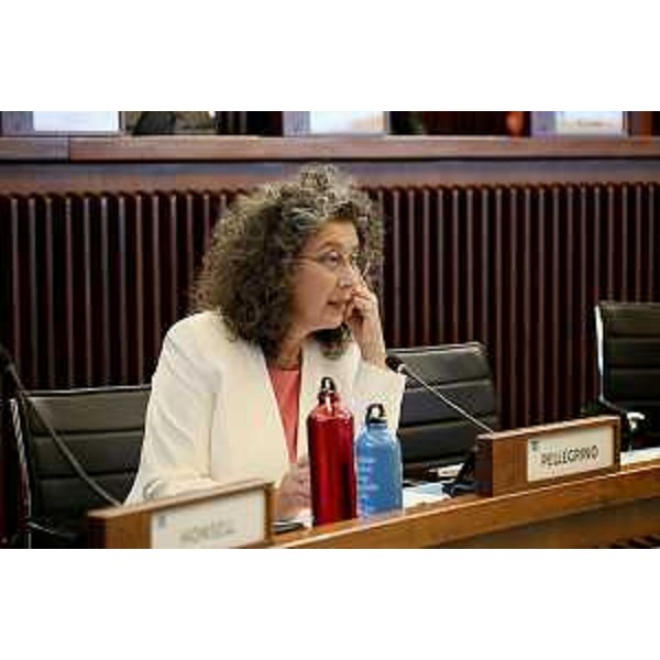 Serena Pellegrino (Avs) - Serena Pellegrino (Avs)