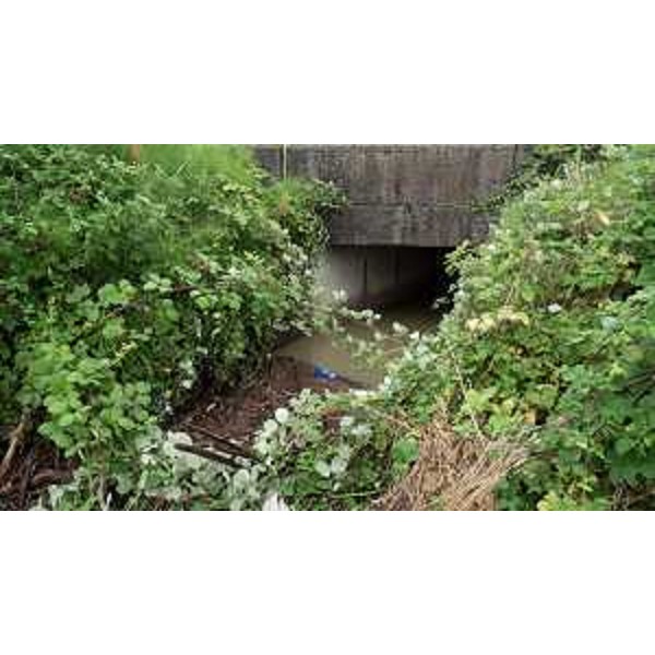 Il sopralluogo a Magnano in Riviera dove è esondato un tombotto riversando l'acqua sulla Pontebbana - Il sopralluogo a Magnano in Riviera dove è esondato un tombotto riversando l'acqua sulla Pontebbana