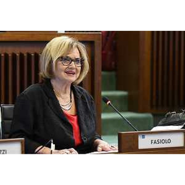Laura Fasiolo (Pd) - Laura Fasiolo (Pd)