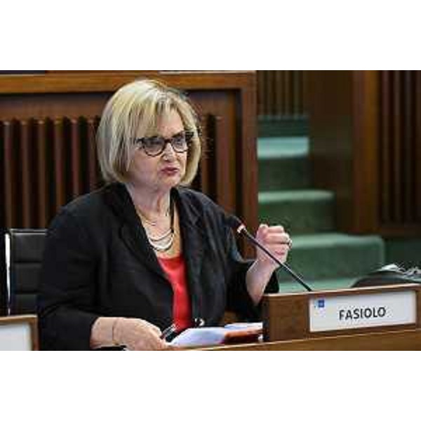 Laura Fasiolo (Pd) - Laura Fasiolo (Pd)