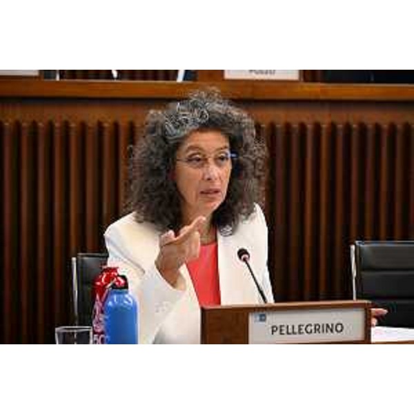 Serena Pellegrino (Avs) - Serena Pellegrino (Avs)