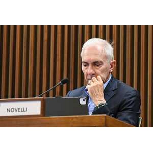 Roberto Novelli (FI) - Roberto Novelli (FI)