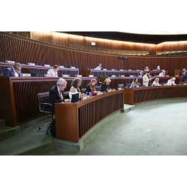 La I Commissione integrata - La I Commissione integrata