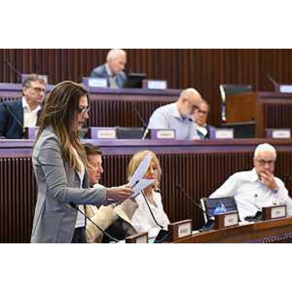 L'intervento di Maddalena Spagnolo (Lega) - L'intervento di Maddalena Spagnolo (Lega)