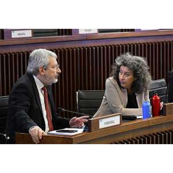 Furio Honsell (Open) e Serena Pellegrino (Avs) - Furio Honsell (Open) e Serena Pellegrino (Avs)