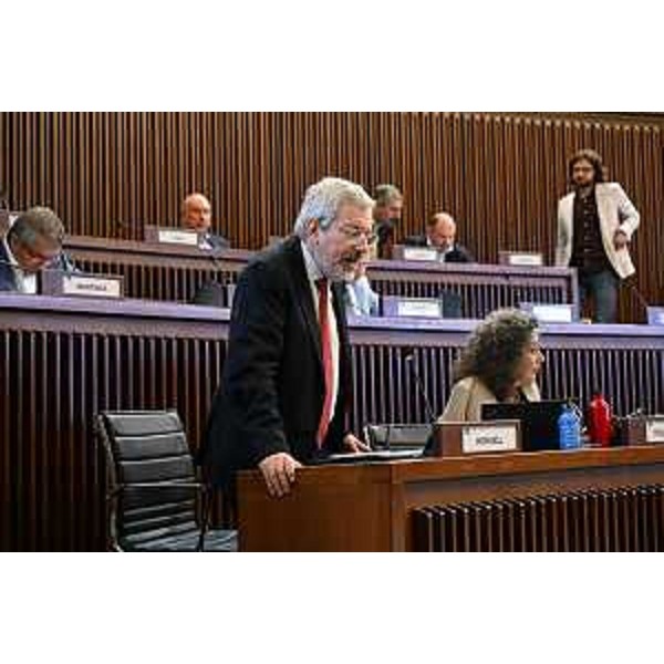 L'intervento di Furio Honsell - L'intervento di Furio Honsell