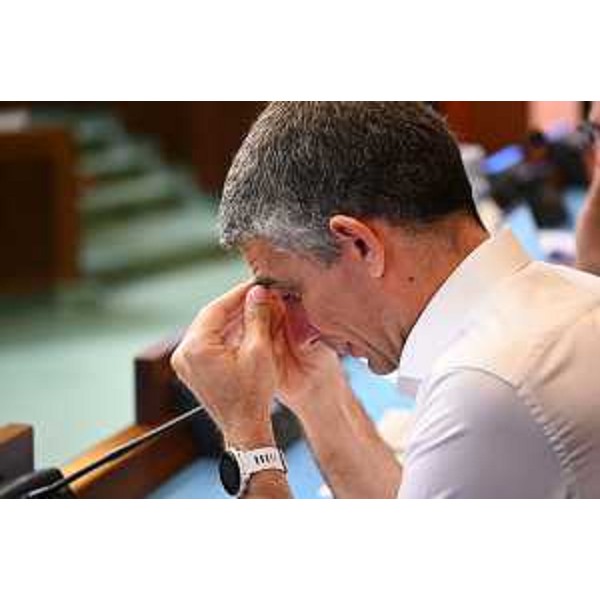 L'assessore regionale Pierpaolo Roberti - L'assessore regionale Pierpaolo Roberti