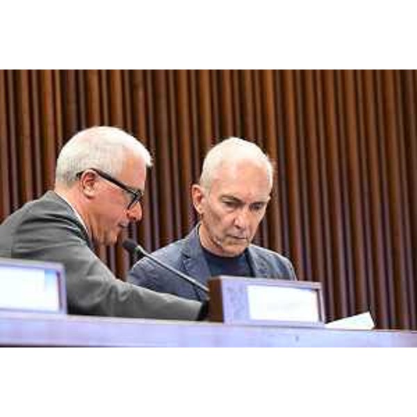 Andrea Cabibbo e Roberto Novelli (FI) - Andrea Cabibbo e Roberto Novelli (FI)