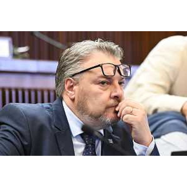 Il presidente della V Commissione, Diego Bernardis (Fp) - Il presidente della V Commissione, Diego Bernardis (Fp)