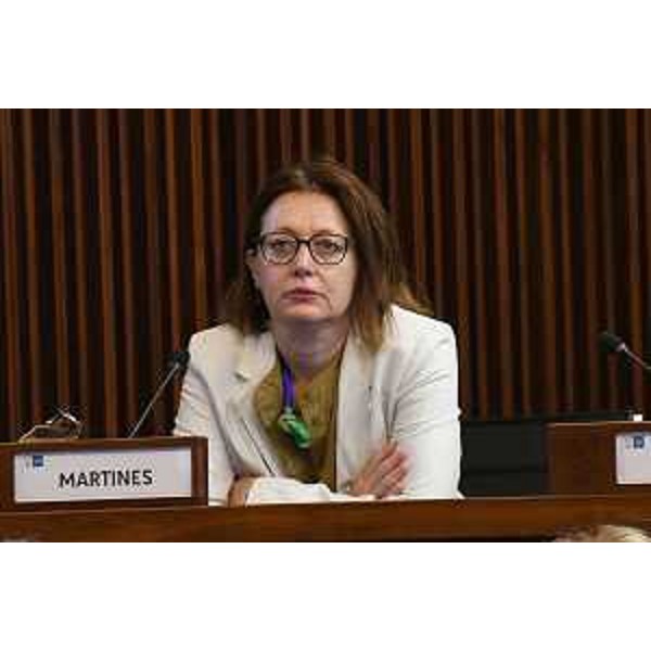 Maria Luisa Fichera (Icgeb) durante l'audizione - Maria Luisa Fichera (Icgeb) durante l'audizione 