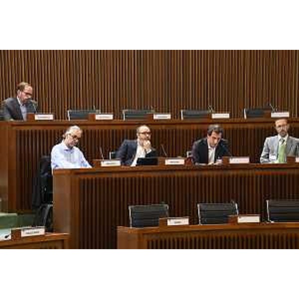 Un altro gruppo di auditi. Nella fila in alto, il consigliere Claudio Giacomelli (Fratelli d'Italia) - Un altro gruppo di auditi. Nella fila in alto, il consigliere Claudio Giacomelli (Fratelli d'Italia)