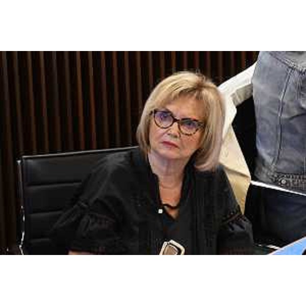 Laura Fasiolo (Pd) - Laura Fasiolo (Pd)