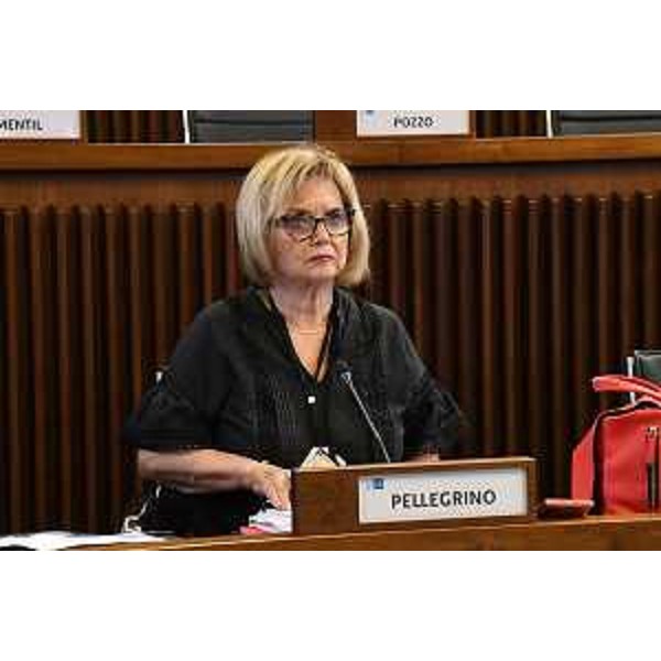 Laura Fasiolo (Pd) - Laura Fasiolo (Pd)