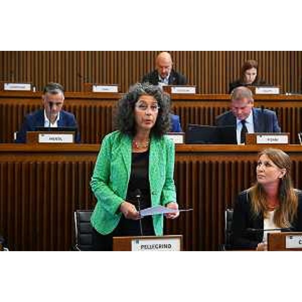 Serena Pellegrino (Avs) - Serena Pellegrino (Avs)