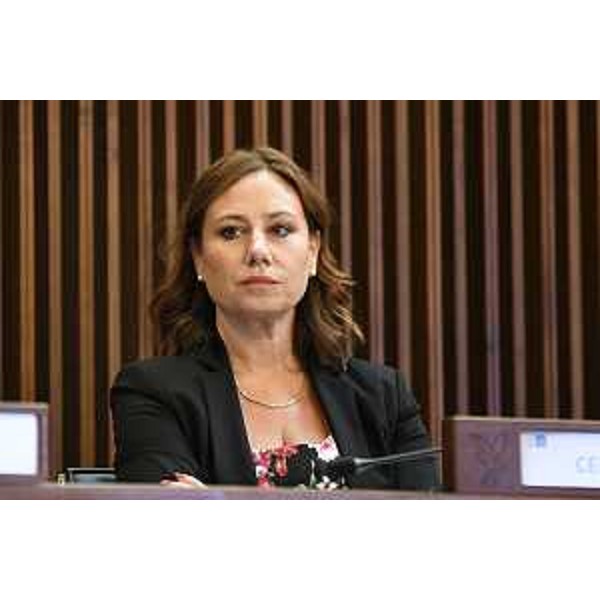 Manuela Celotti (Partito democratico) - Manuela Celotti (Partito democratico)