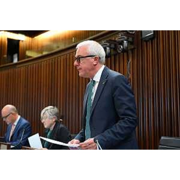 Andrea Cabibbo (Forza Italia) - Andrea Cabibbo (Forza Italia)