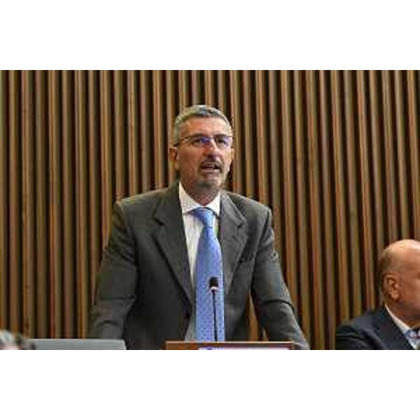 Andrea Carli (Pd) - Andrea Carli (Pd)