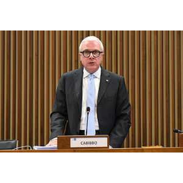 Andrea Cabibbo (FI) - Andrea Cabibbo (FI)