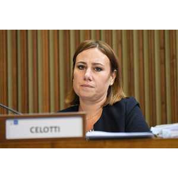 Manuela Celotti (Pd) - Manuela Celotti (Pd)