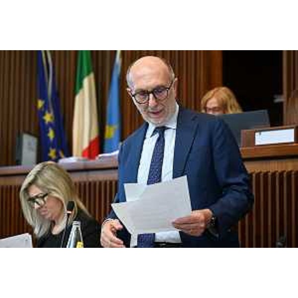 L'assessore Fvg alla Protezione civile, Riccardo Riccardi - L'assessore Fvg alla Protezione civile, Riccardo Riccardi