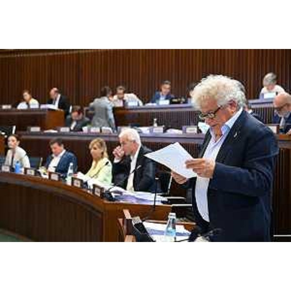 Elia Miani (Lega) - Elia Miani (Lega)