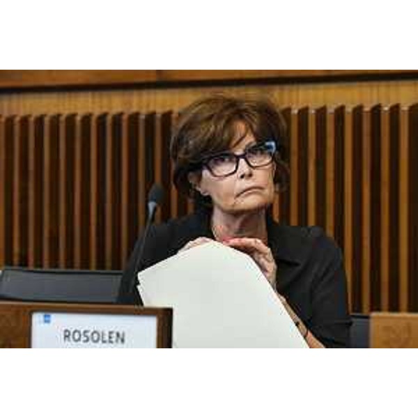 L'assessore Fvg a Istruzione e Lavoro, Alessia Rosolen - L'assessore Fvg a Istruzione e Lavoro, Alessia Rosolen