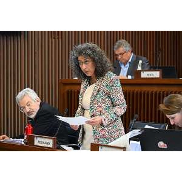 Serena Pellegrino (Avs) - Serena Pellegrino (Avs)