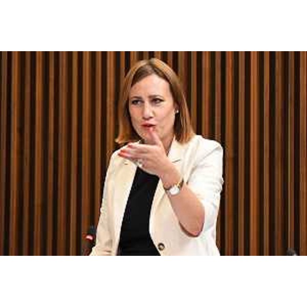 Manuela Celotti (Pd) - Manuela Celotti (Pd)