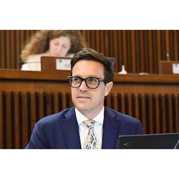 Igor Treleani (FdI) - Igor Treleani (FdI)