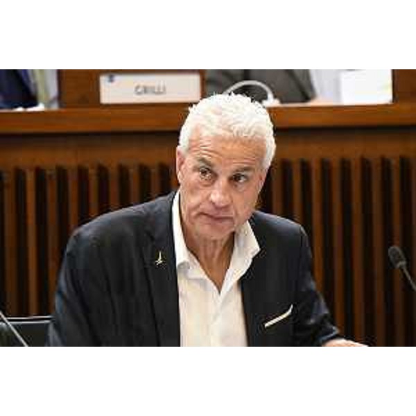 Manuele Ferrari (Lega) - Manuele Ferrari (Lega)