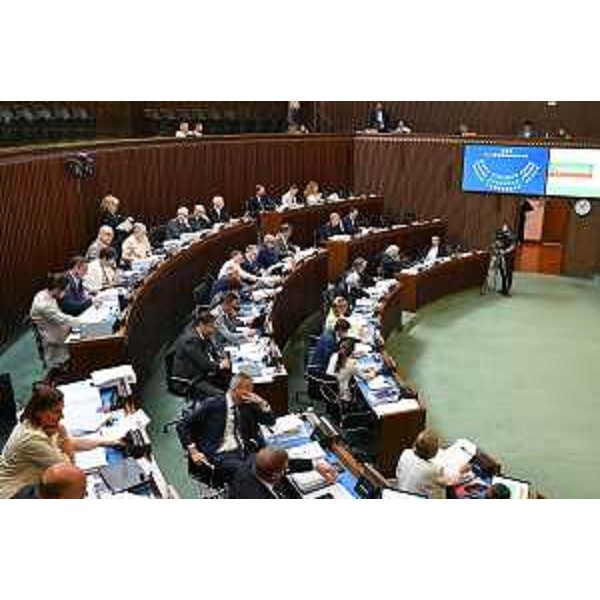 I lavori dell'Aula - I lavori dell'Aula