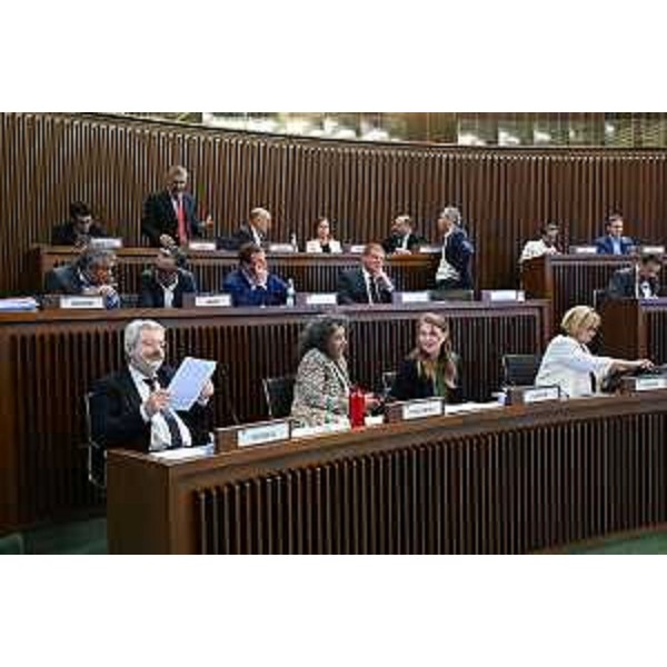 L'intervento di Andrea Carli (Pd) dai banchi delle Opposizioni - L'intervento di Andrea Carli (Pd) dai banchi delle Opposizioni