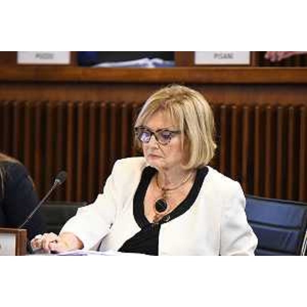 Laura Fasiolo (Pd) - Laura Fasiolo (Pd)