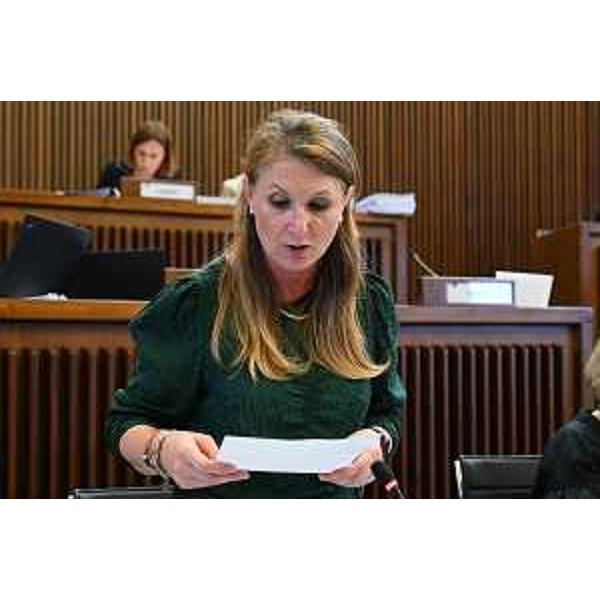 Rosaria Capozzi (M5S) - Rosaria Capozzi (M5S)