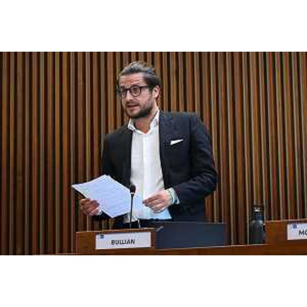 Enrico Bullian (Patto per l'Autonomia - Civica Fvg) - Enrico Bullian (Patto per l'Autonomia - Civica Fvg)