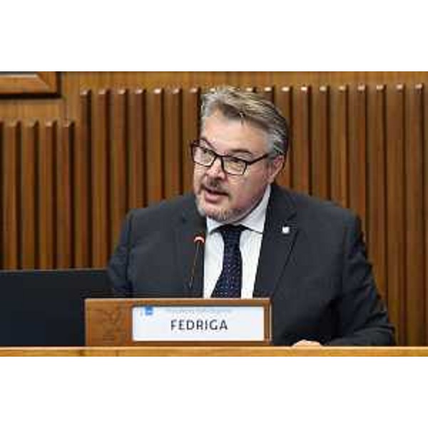 Il presidente della V Commissione, Diego Bernardis - Il presidente della V Commissione, Diego Bernardis