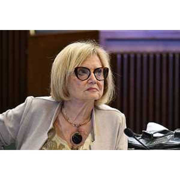 Laura Fasiolo (Pd) - Laura Fasiolo (Pd)