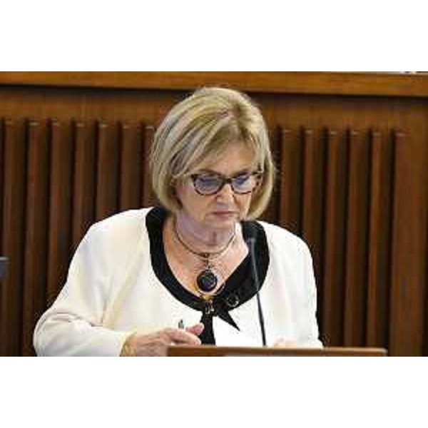 Laura Fasiolo (Pd) - Laura Fasiolo (Pd)