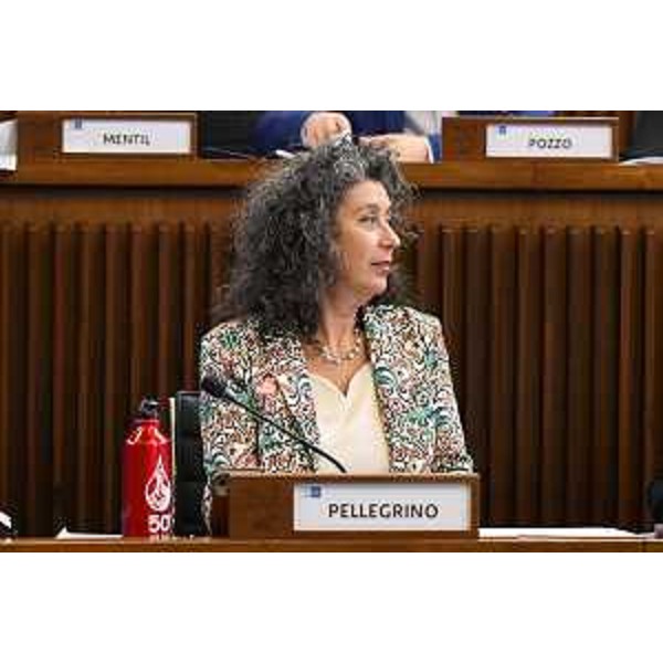 Serena Pellegrino (Avs) - Serena Pellegrino (Avs)