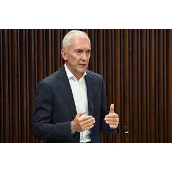 Roberto Novelli (Fi) - Roberto Novelli (Fi)